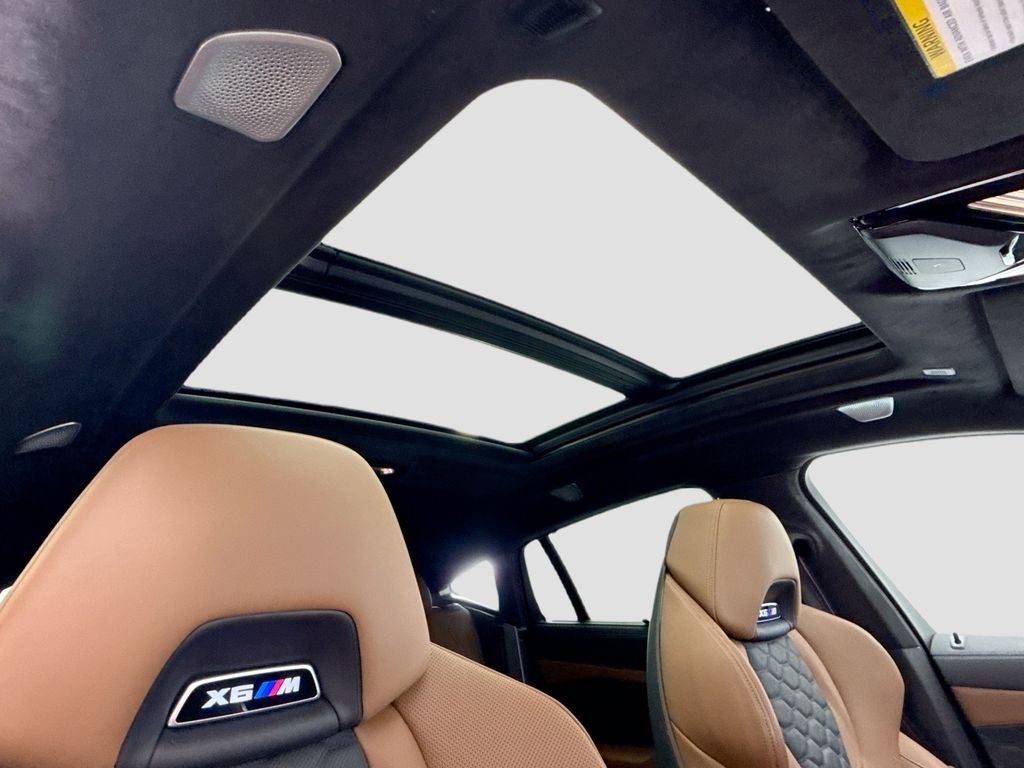 Thumbnail: 2024 BMW X6 - 17