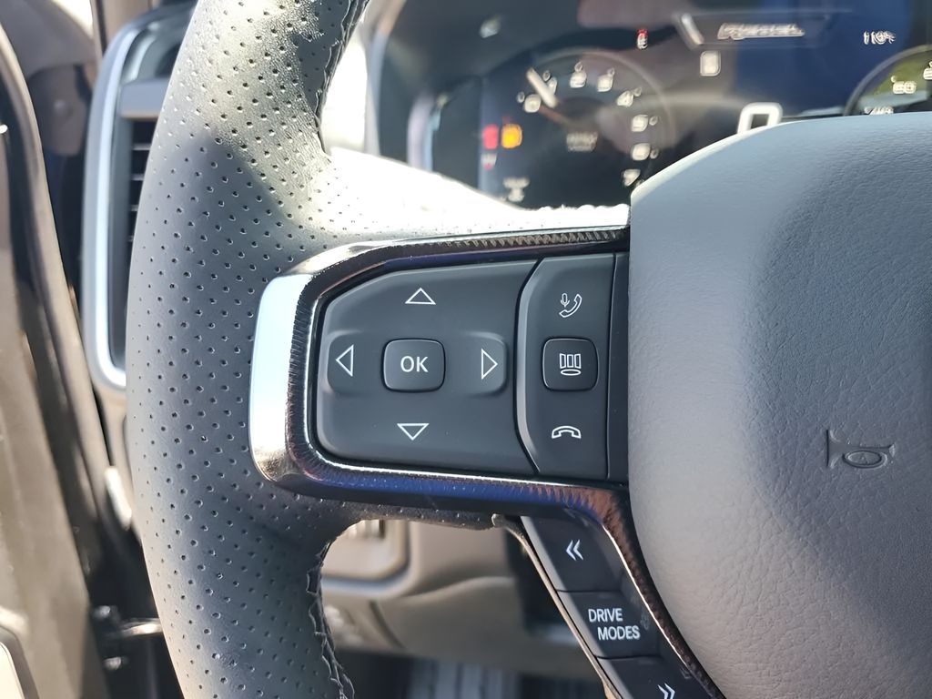 New 2026 Black Ram Rebel image 34