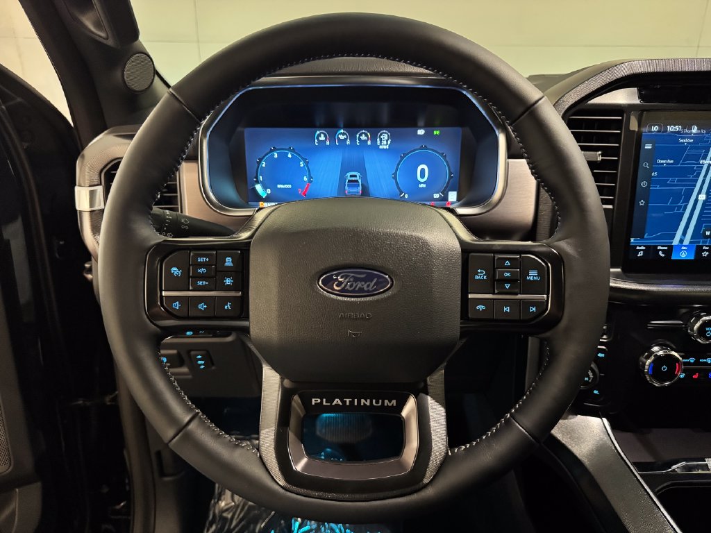 New 2026 Blue Ford Platinum image 8