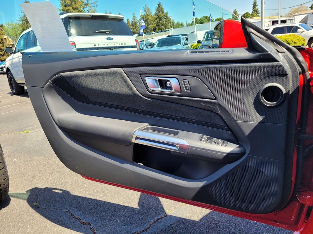 Car Picture