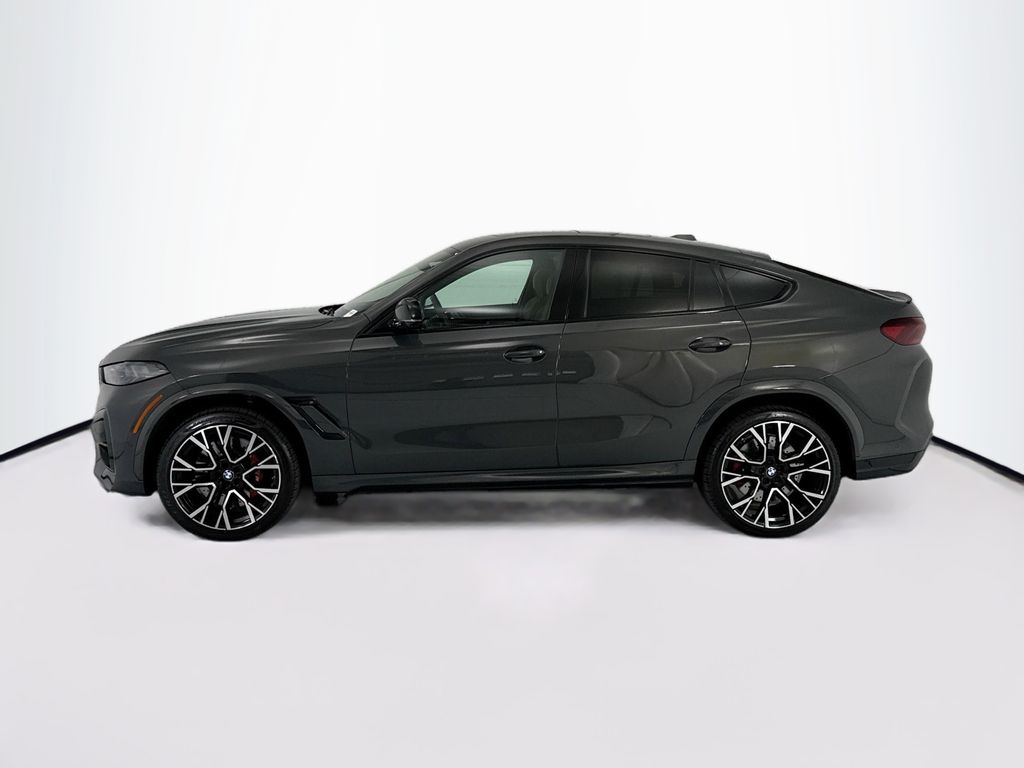 Thumbnail: 2024 BMW X6 - 8