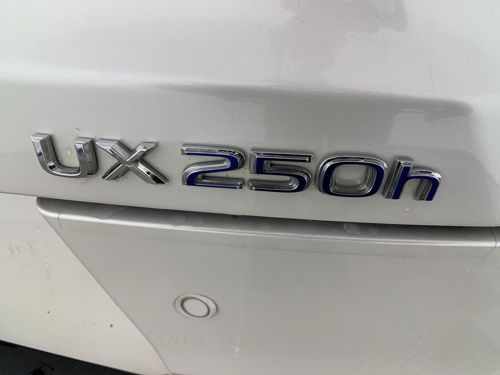 2021 Lexus UX 250h Base 17