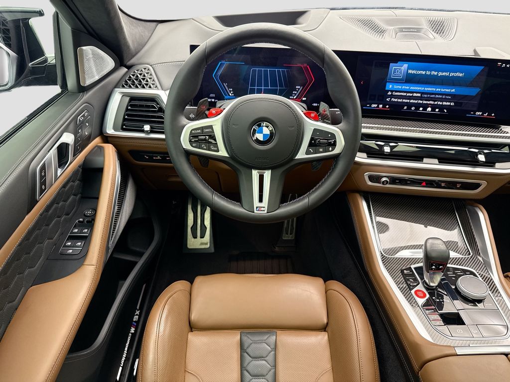 Thumbnail: 2025 BMW X6 - 10