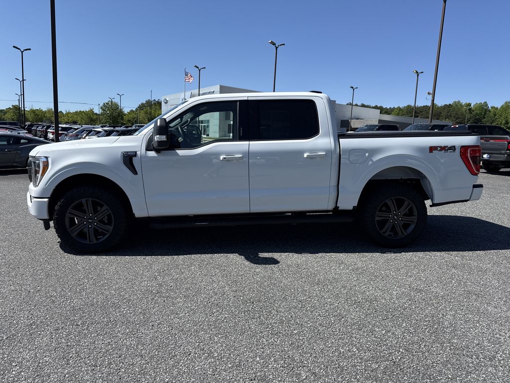 Used 2023 Ford F-150 Truck