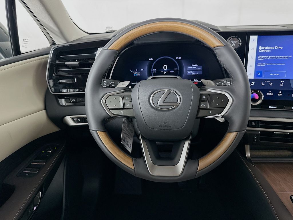 2025 Lexus RX  19