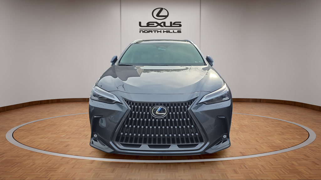2026 Lexus NX Luxury photo 2