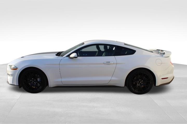 Used Car 2019 Ford Mustang  Ecoboost Premium For Sale Under $25,000 In Georgetown, Texas
