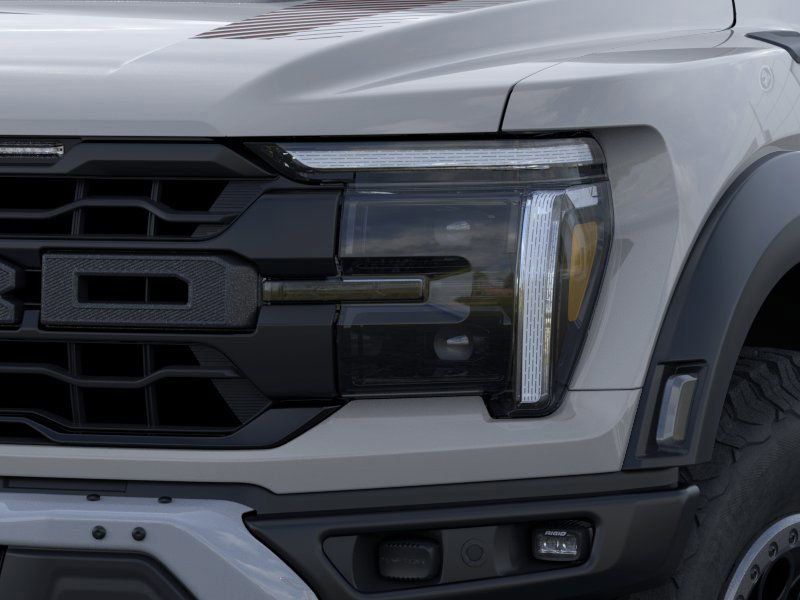 2024 Ford F-150 Raptor 19