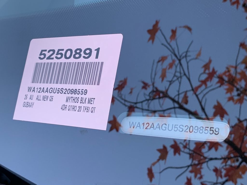 Thumbnail: 2025 Audi Q5 - 9