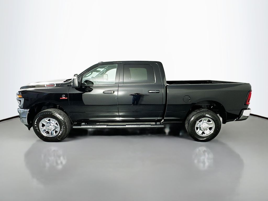 Ram35004