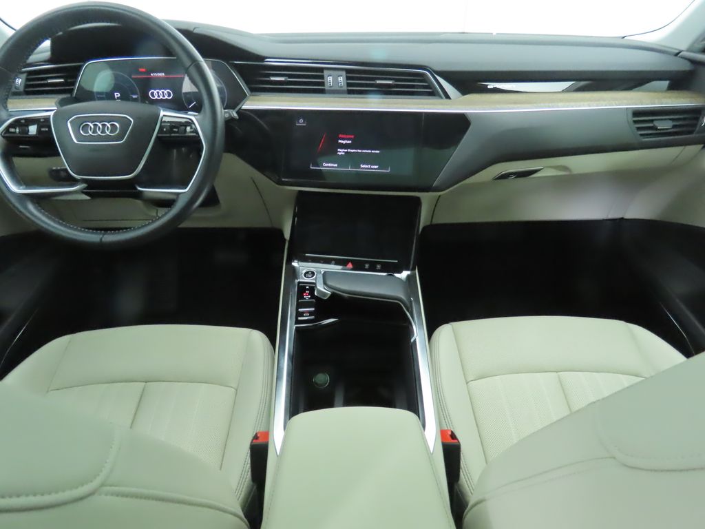 2021 Audi e-tron Premium Plus 13