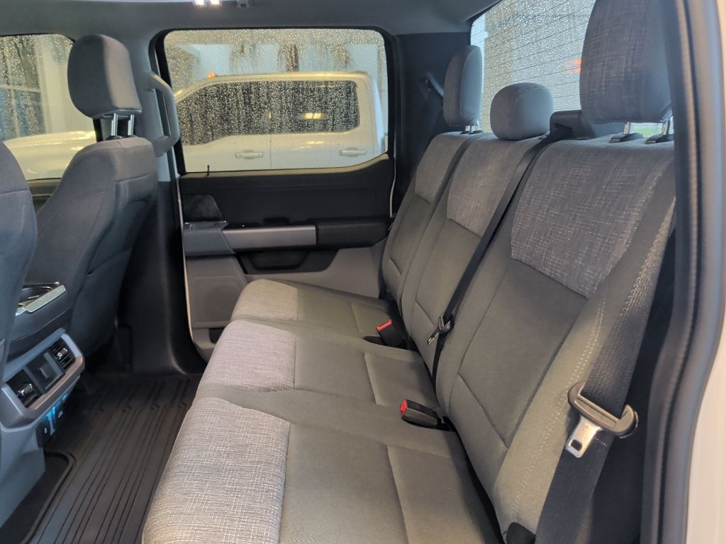 2023 Oxford White Ford F-150 XLT 4X4 Truck