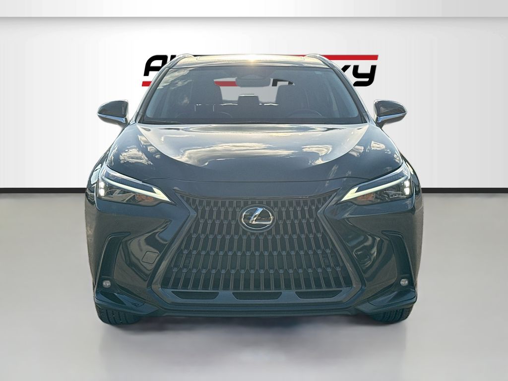 2025 Lexus NX 250 Premium - 1
