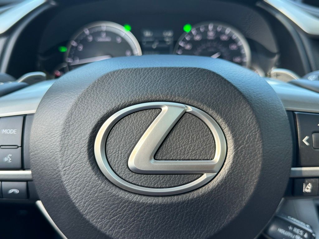 2021 Lexus RX 350 30