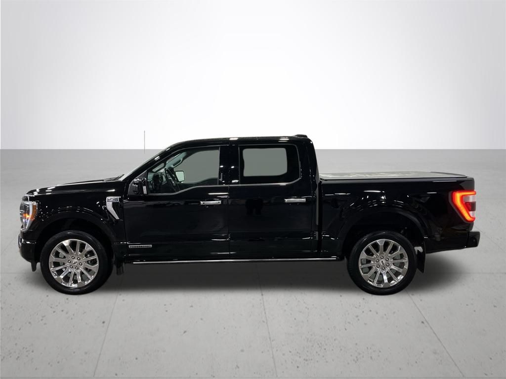 2023 Ford F-150 Limited