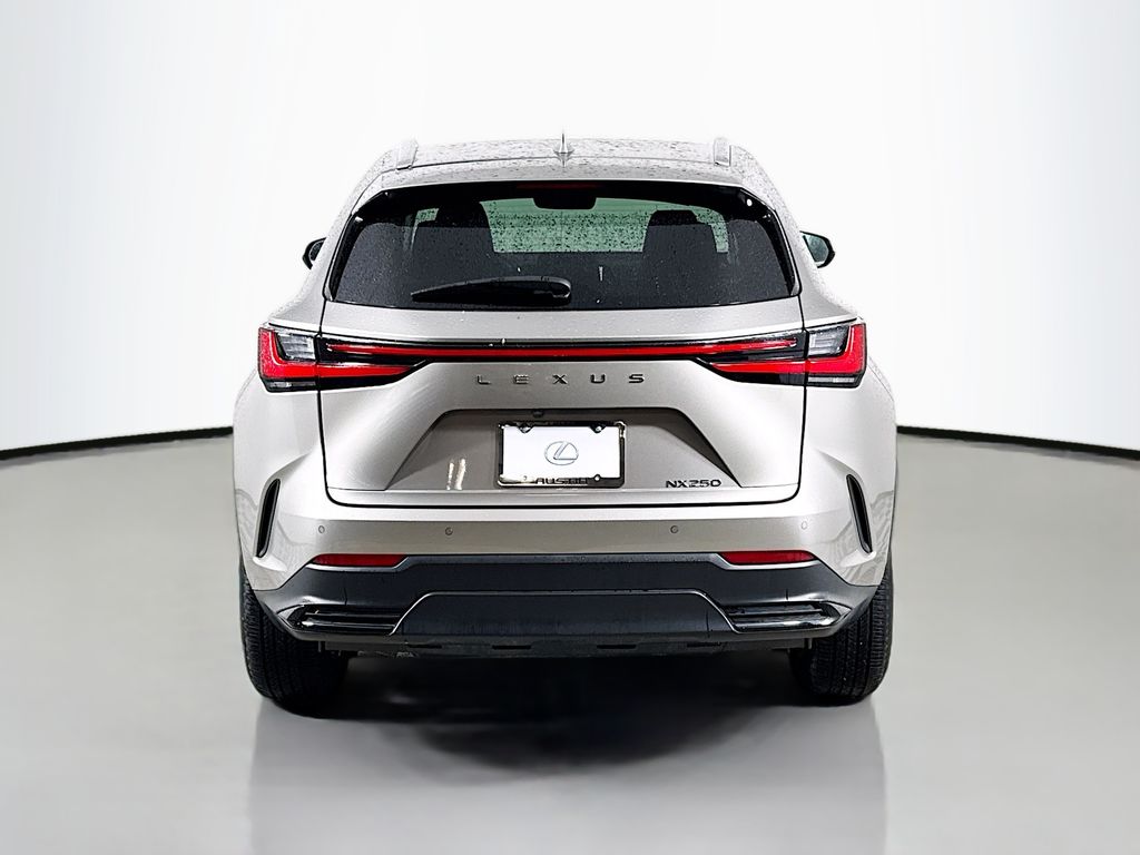 Thumbnail: 2025 Lexus NX - 6