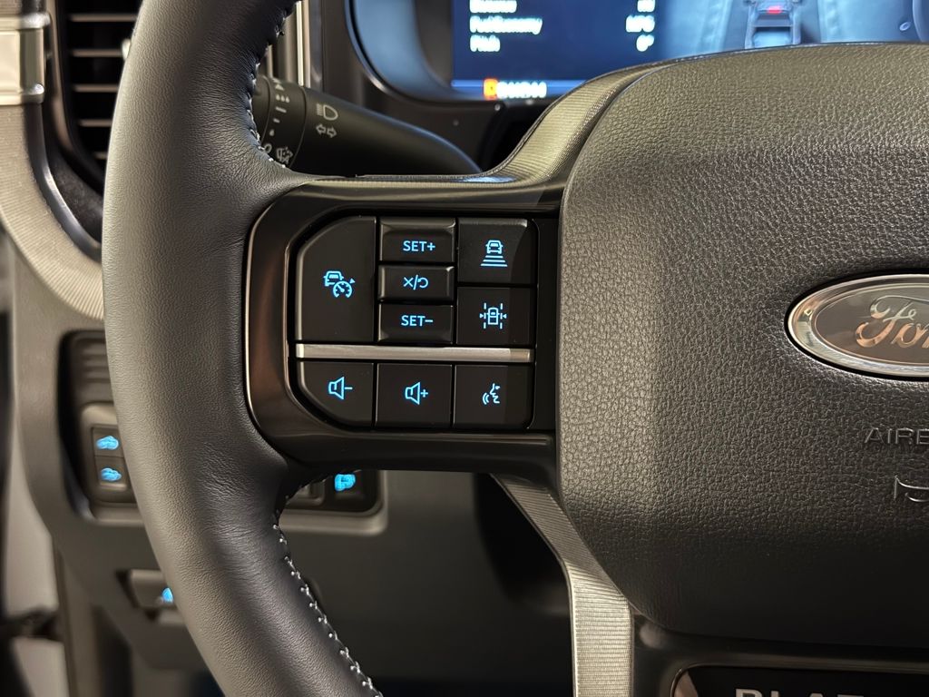New 2026 Gray Ford Platinum image 37