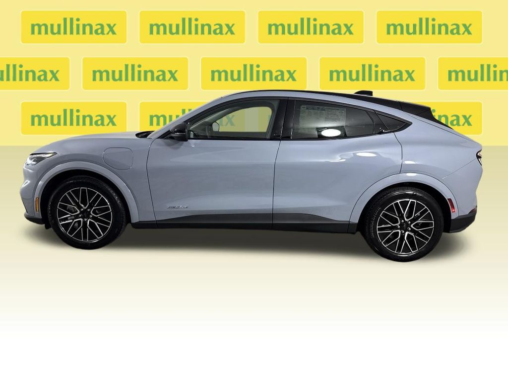 New 2026 Gray Ford Premium image 2