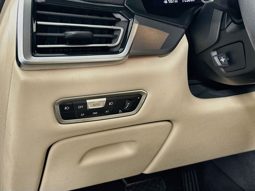 Thumbnail: 2019 BMW X5 - 10