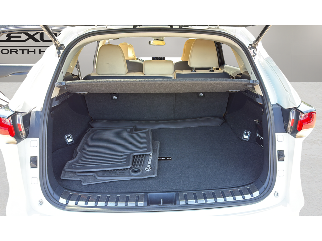 2015 Lexus NX