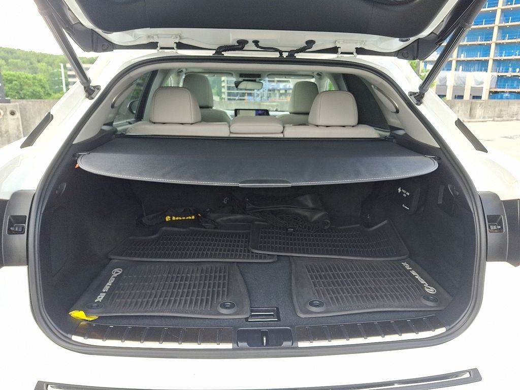 2019 Lexus RX Hybrid 450h 31