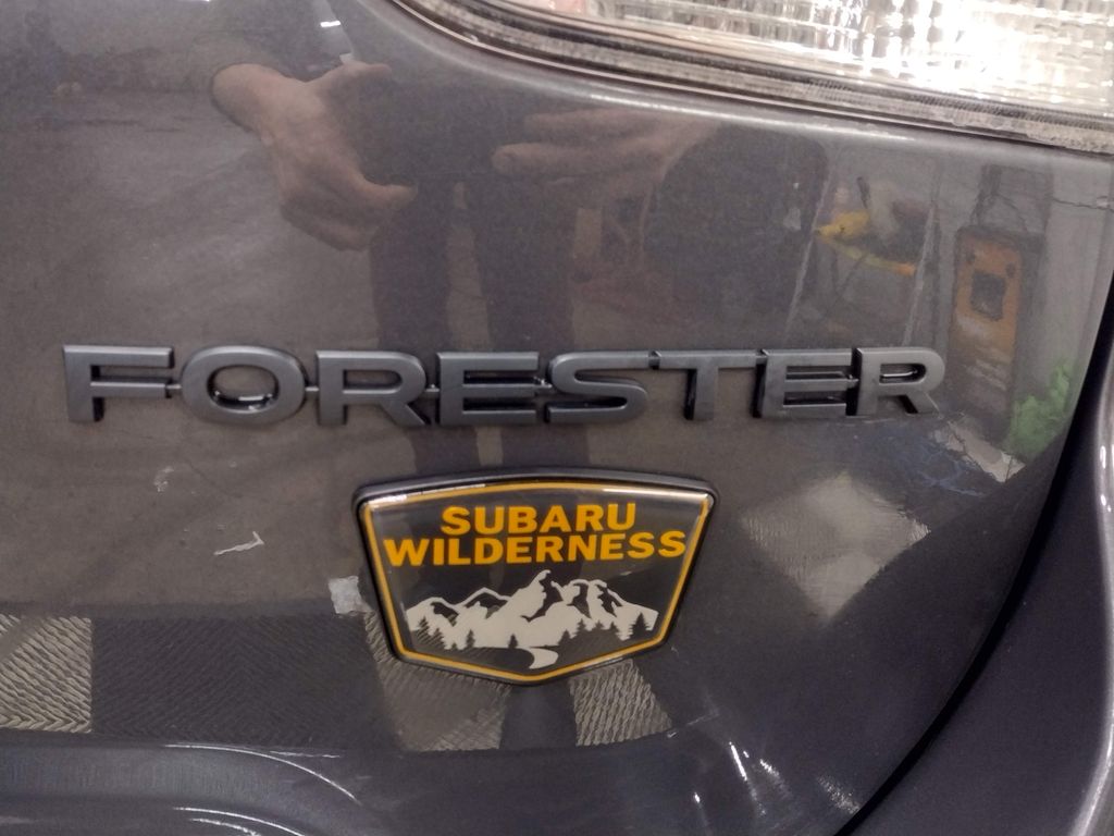Forester Wilderness
