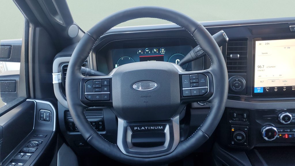 New 2026 Gray Ford Platinum image 21