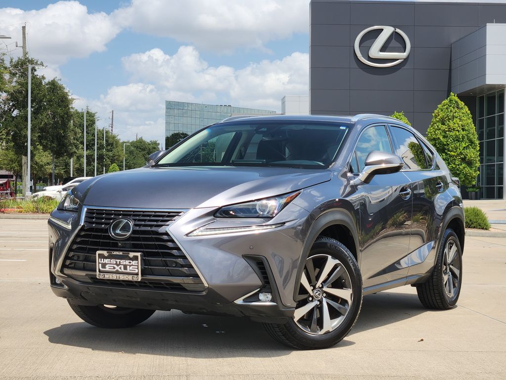 2019 Lexus NX 300 Base Gray at Emmons Autoplex
