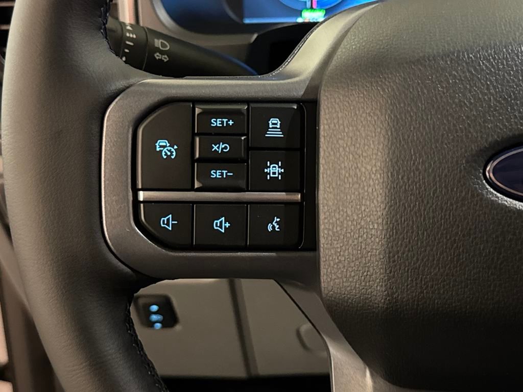 2025 Ford F-150 Lightning photo 25