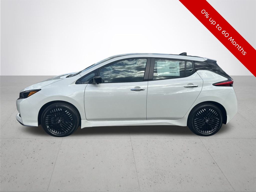 Leaf SV Plus