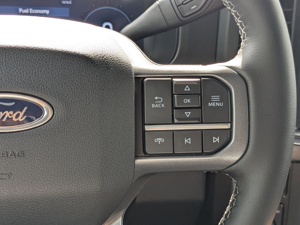 2025 Ford F-250 Super Duty Black Widow