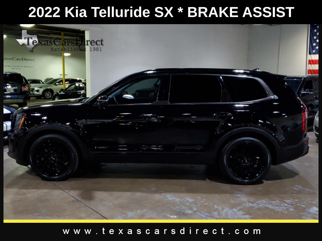 2022 Kia Telluride SX 14