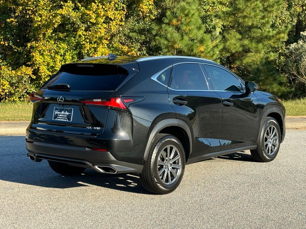 2019 Lexus NX 300 13