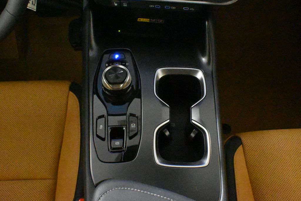 2025 Lexus RZ  24