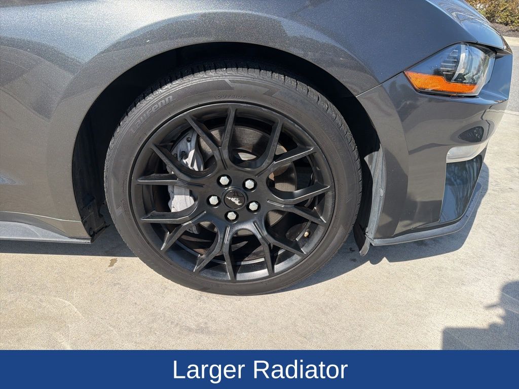 2019 Ford Mustang EcoBoost