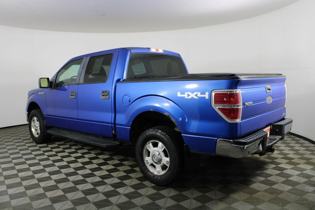 Used 2010 Ford F-150 for sale in 