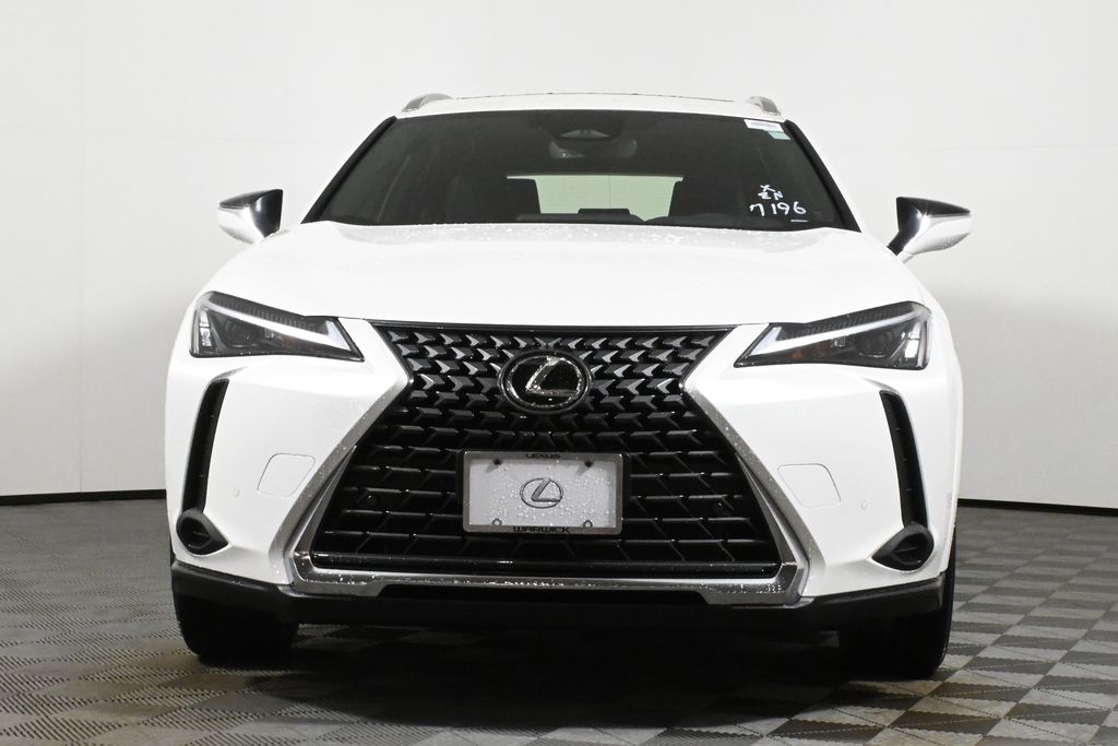 2025 Lexus UX 300h 10