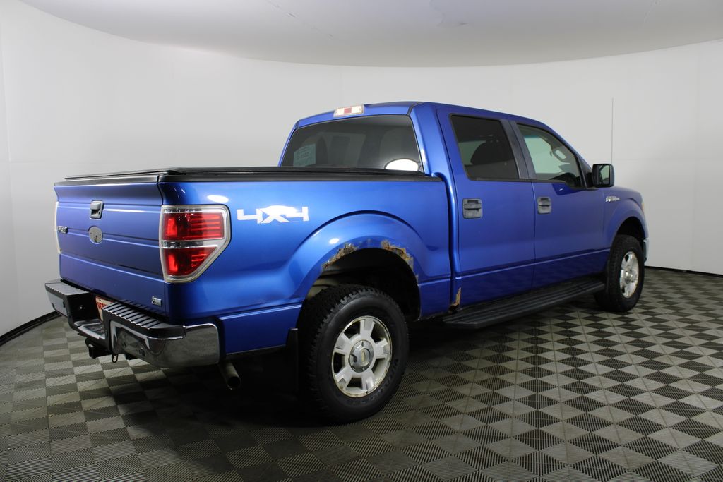 Used 2010 Ford F-150 for sale in 