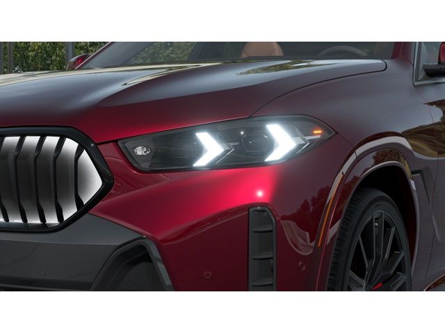 Thumbnail: 2026 BMW X6 - 6