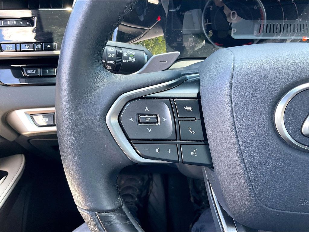 2024 Lexus RX — photo 22