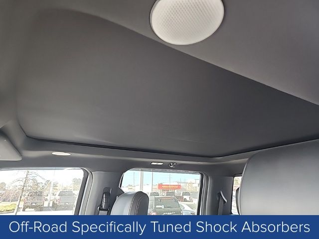 2024 Ford F-250 Super Duty Platinum