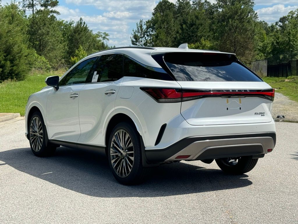 2024 Lexus RX 350 Luxury 11