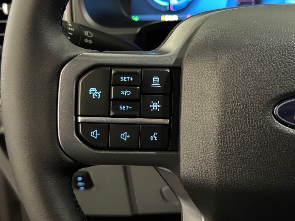 2025 Ford F-150 Lightning photo 28