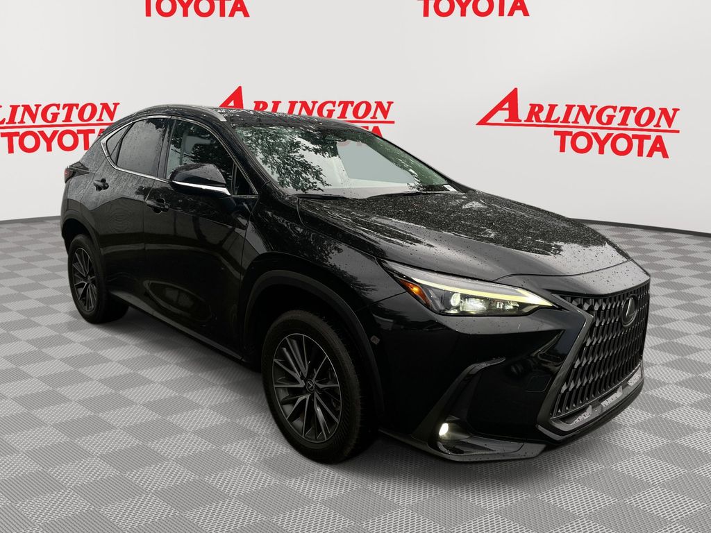 2024 Lexus NX 250's photo