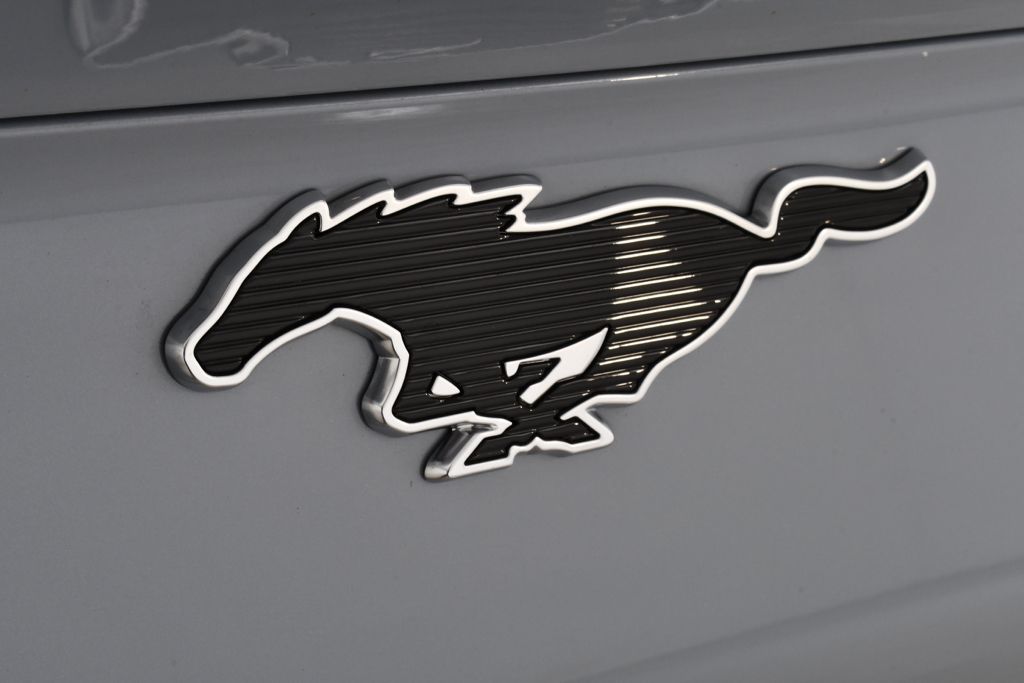 Used 2025 Gray Ford Premium Electric image 21