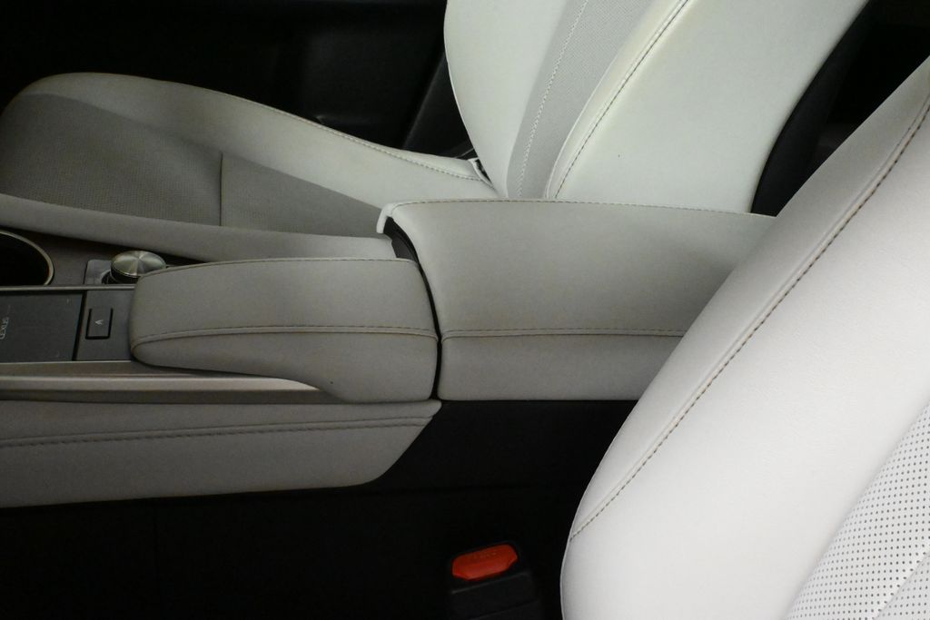 2020 Lexus RX Hybrid 450hL 30