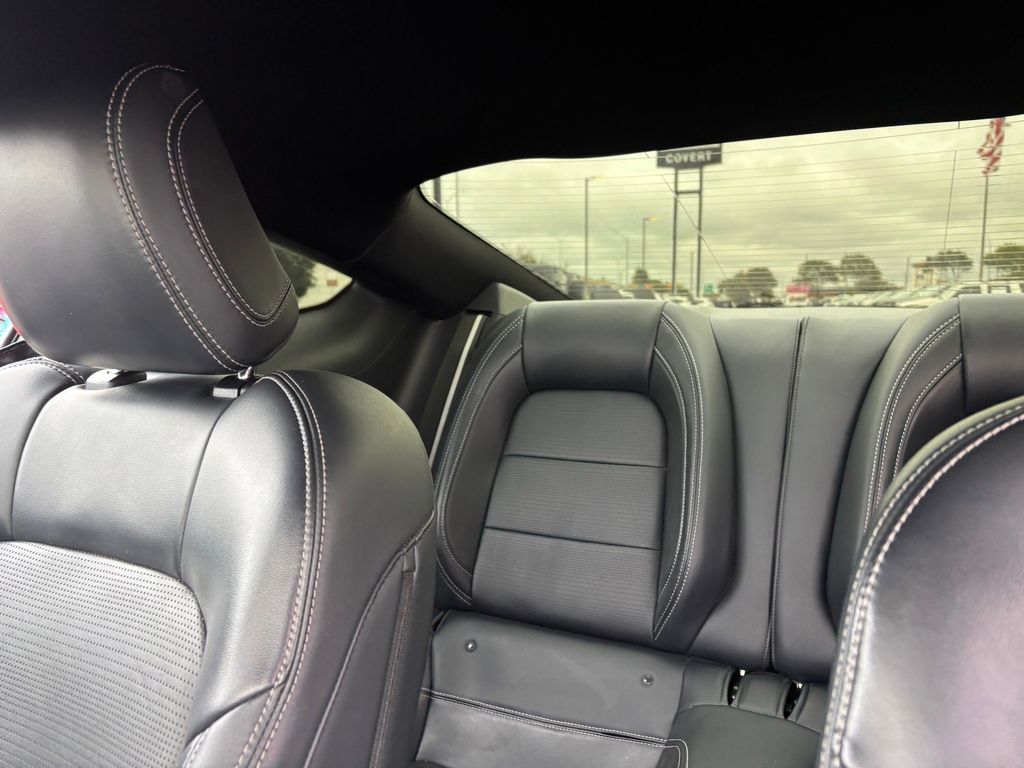 Used Car 2024 Ford Mustang  Gt Premium For Sale Under $50,000 In Austin, Texas