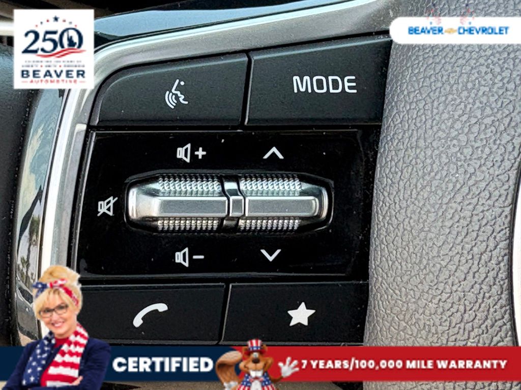 Used 2024 Kia Carnival Van