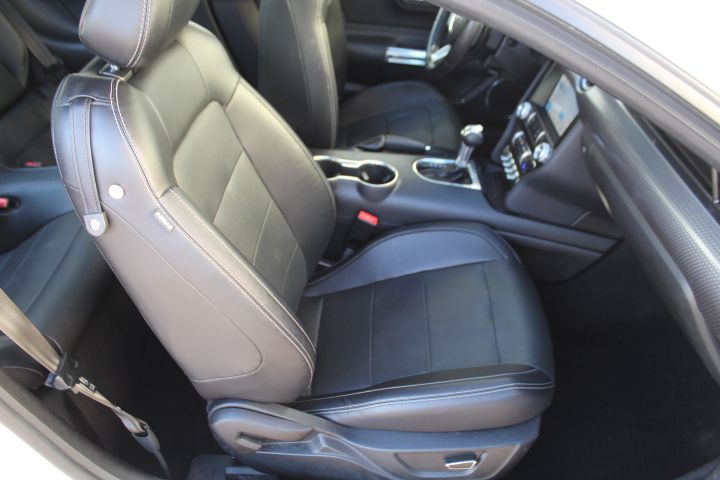 Used Car 2019 Ford Mustang  Ecoboost Premium For Sale Under $25,000 In Georgetown, Texas