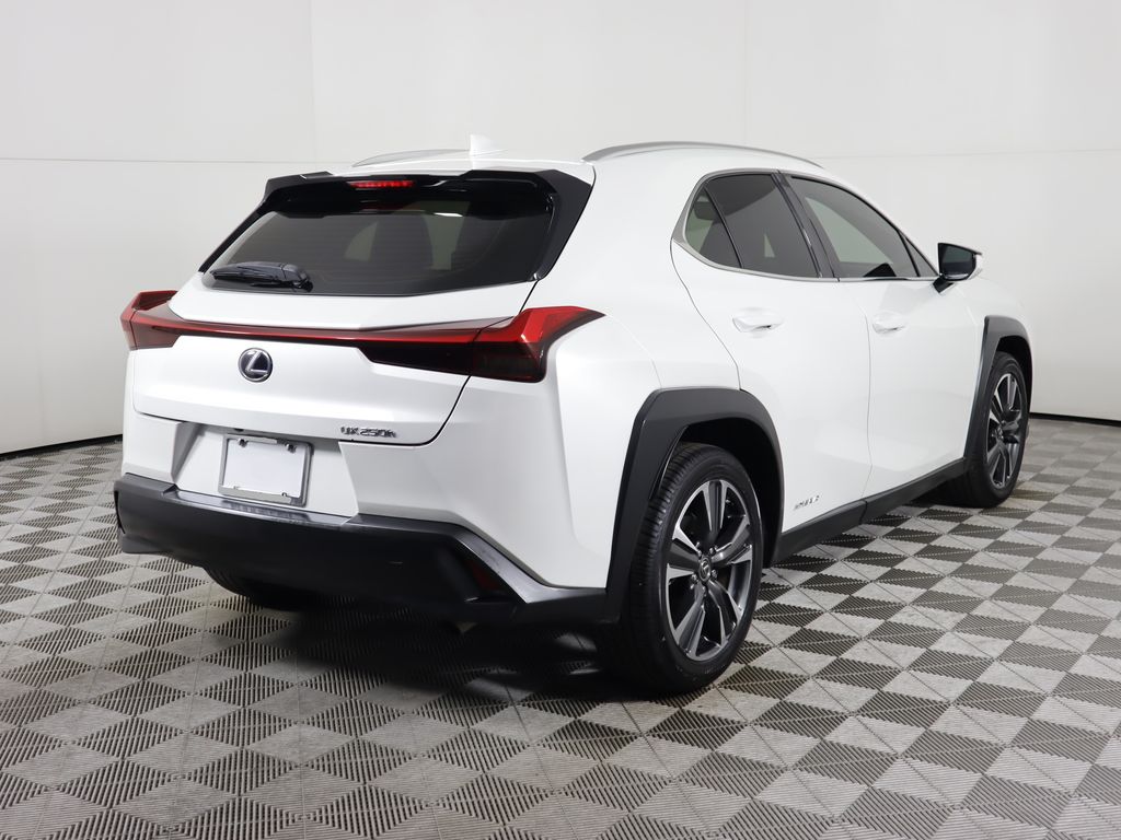 2019 Lexus UX 250h 6